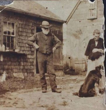 Theodore Paine and Elizabeth (Higgins) Paine